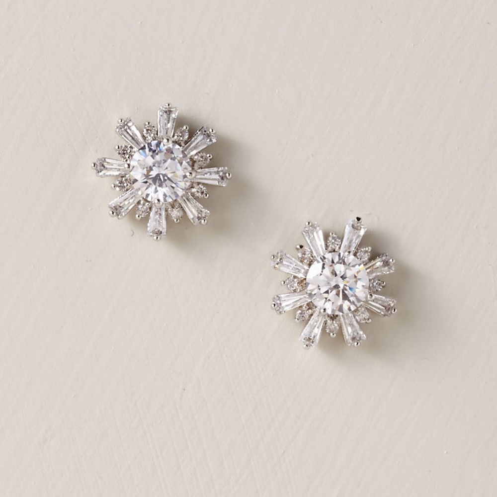 Snow Crystal Earrings
